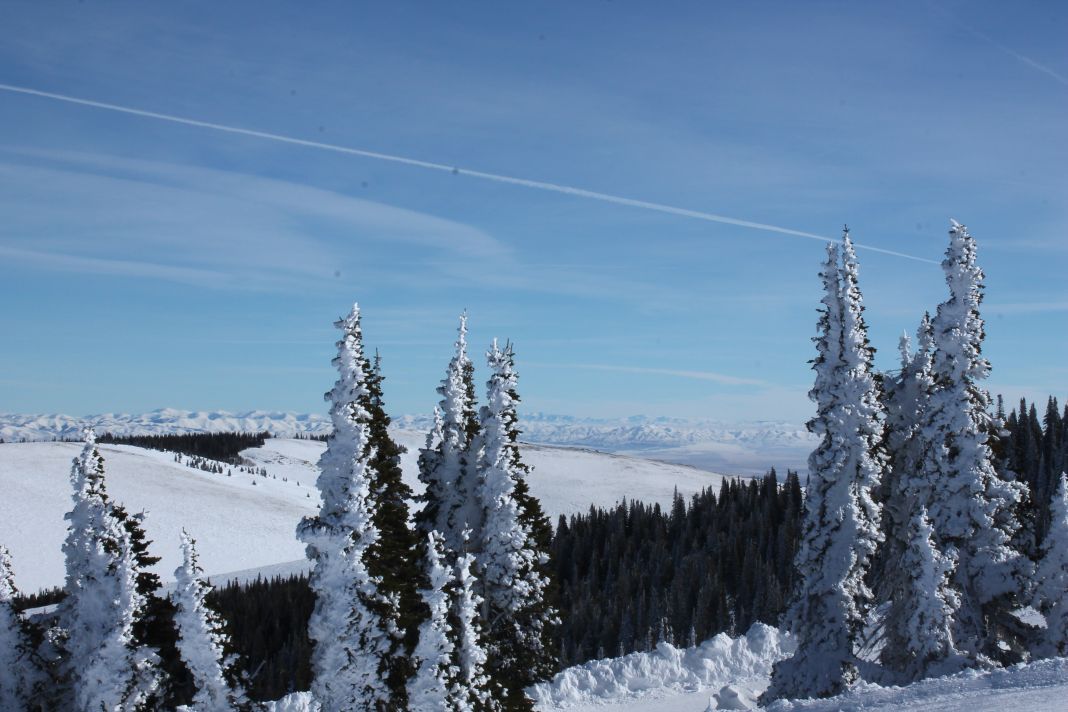 Snowy scene